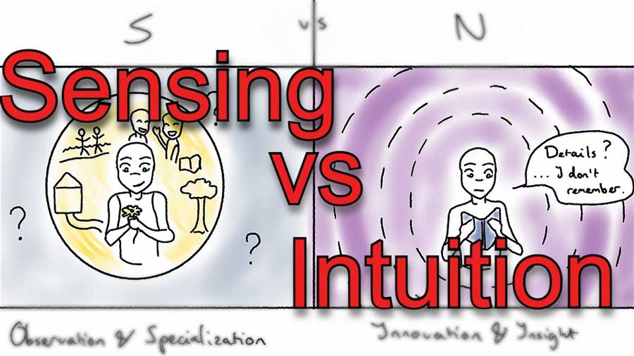 Sensors And Intuitives In Mbti at Amy Oconner blog