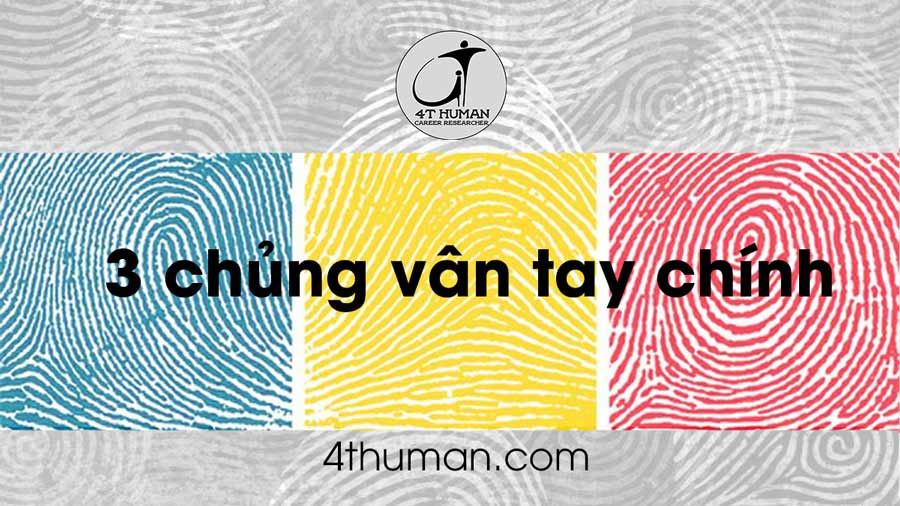 3 nhóm chủng vân tay chính