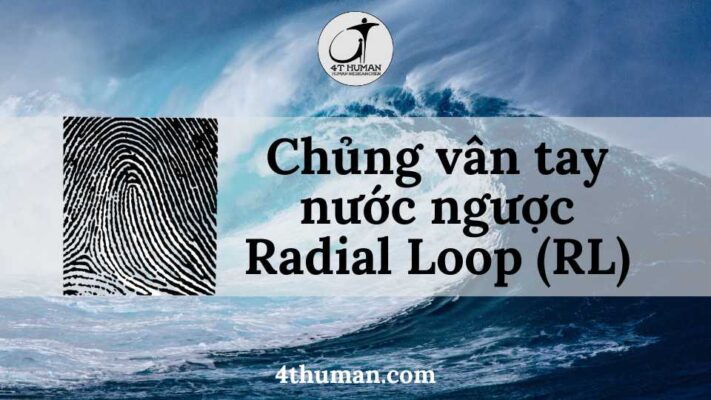 chủng vân tay nước ngược RL