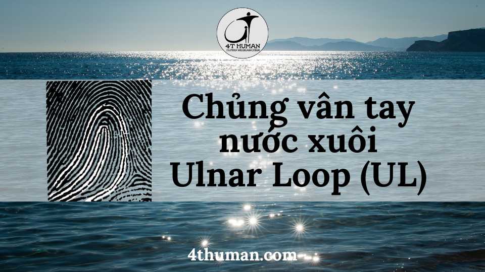 chủng vân tay nước xuôi UL