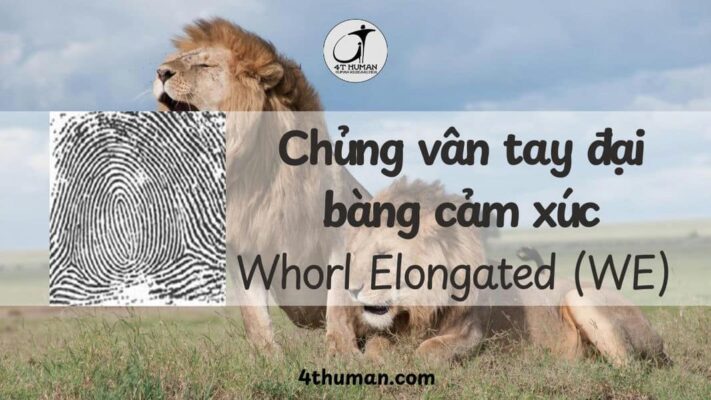 chủng vân tay đại bàng cảm xúc WE