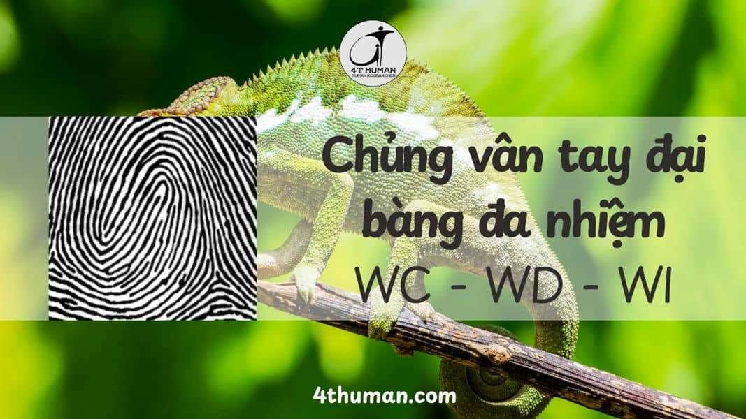 chủng vân tay đại bàng đa nhiệm