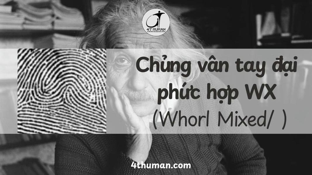 chủng vân tay đại bàng phức hợp WX