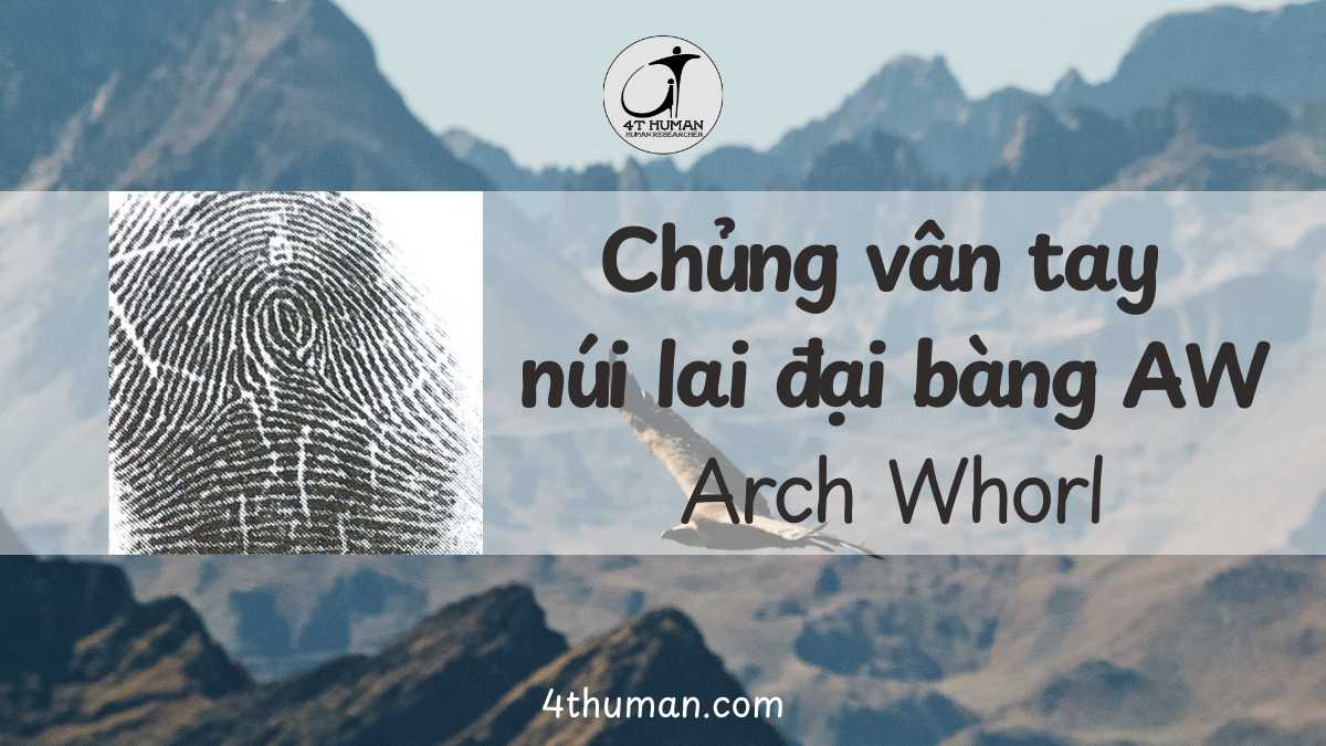 Chủng vân tay núi lai đại bàng AW