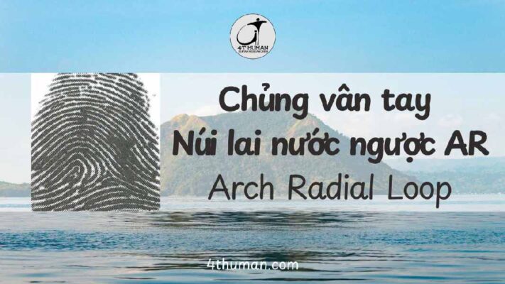 Chủng vân tay núi lai nước ngược AR