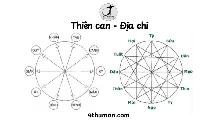 Thiên can địa chi