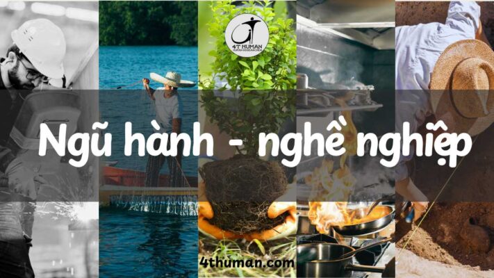 Ngũ hành và nghề nghiệp