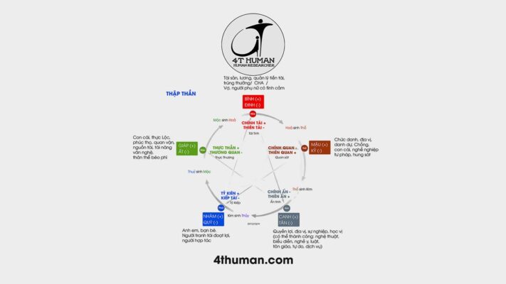 Mối quan hệ sinh khắc của Thập thần 4T Human