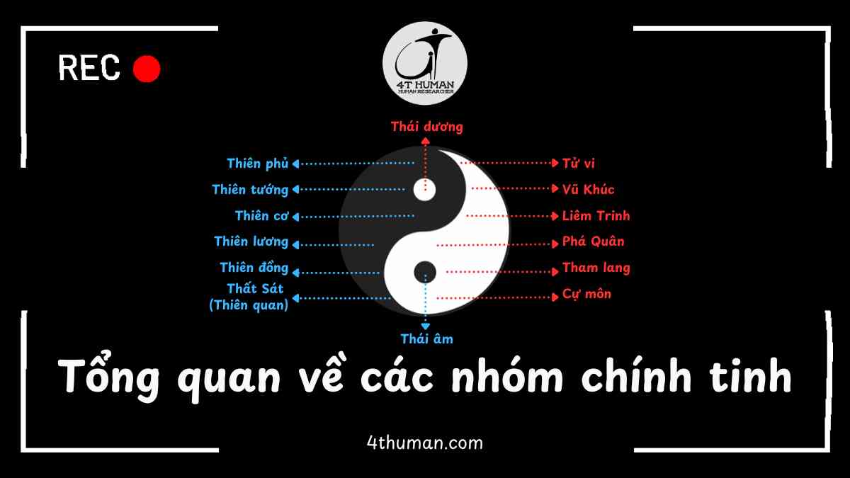 Tổng quan về các nhóm chính tinh