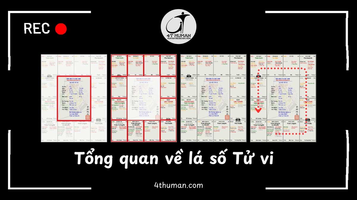 Tổng quan về lá số tử vi 4T Human