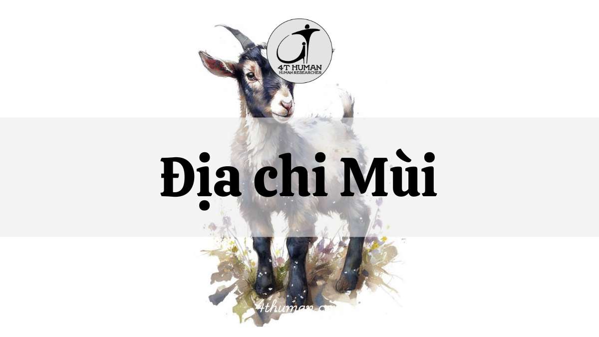 Địa chi Mùi 4T Human
