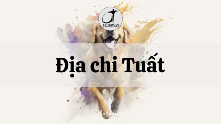 Địa chi Tuất 4T Human