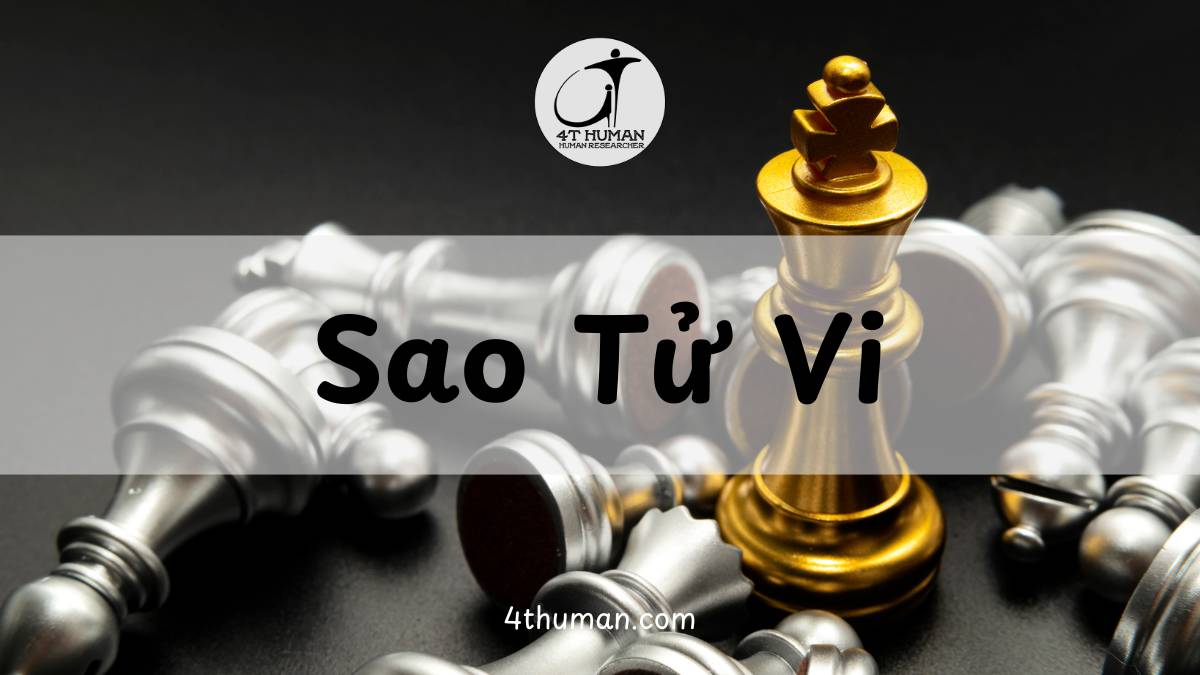 Sao tử vi 4T Human