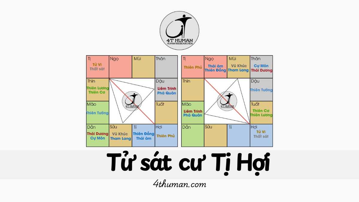 Tử sát cư tị hợi 4T Human