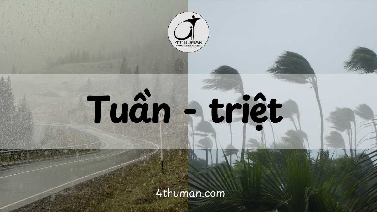 Tuần triệt trong tử vi
