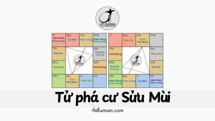 Tử phá cư Sửu Mùi 4T Human
