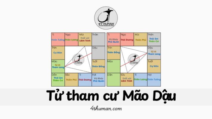 Tử tham cư mão dậu 4T Human
