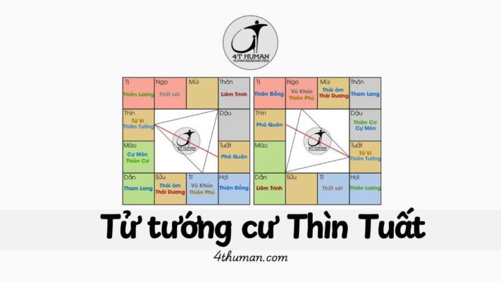 Tử tướng cư thìn tuất 4T Human