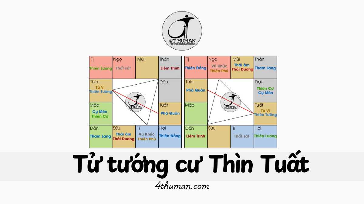 Tử tướng cư thìn tuất 4T Human
