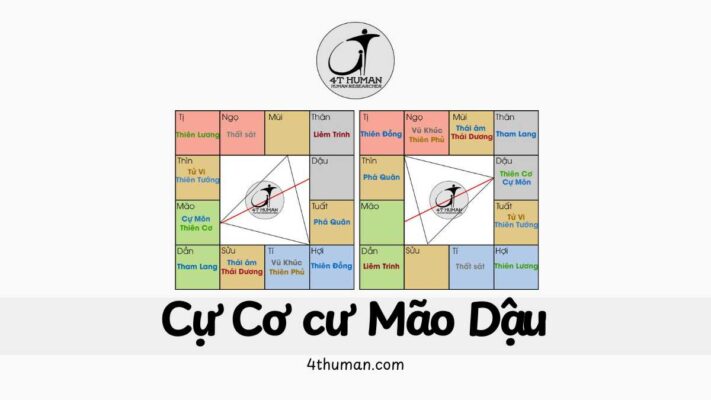 Cự Cơ cư Mão Dậu 4T Human