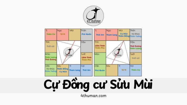 Cự Đồng cư Sửu Mùi 4T Human