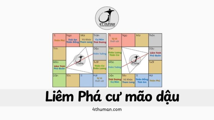 Liêm Phá cư mão dậu 4T Human