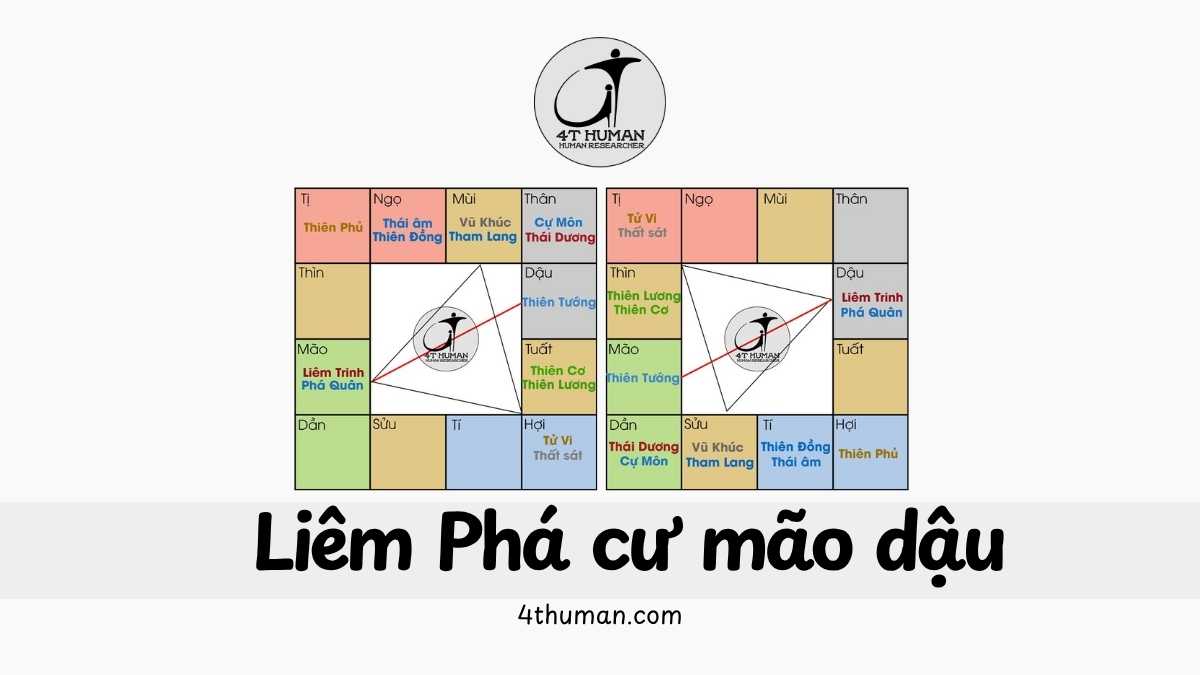 Liêm Phá cư mão dậu 4T Human
