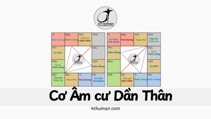 Cơ âm cư dần thân 4T Human