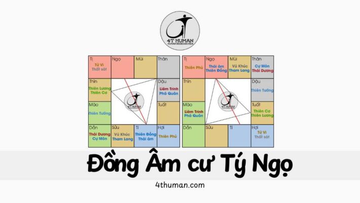 Đồng Âm cư Tí Ngọ 4T Human