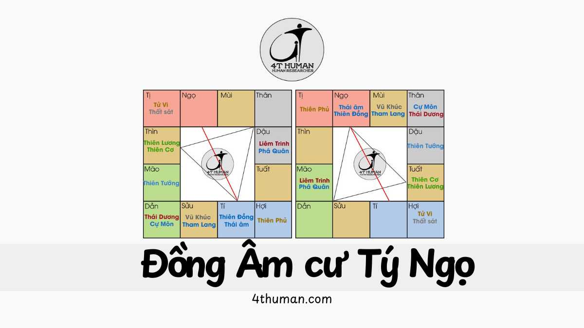 Đồng Âm cư Tí Ngọ 4T Human
