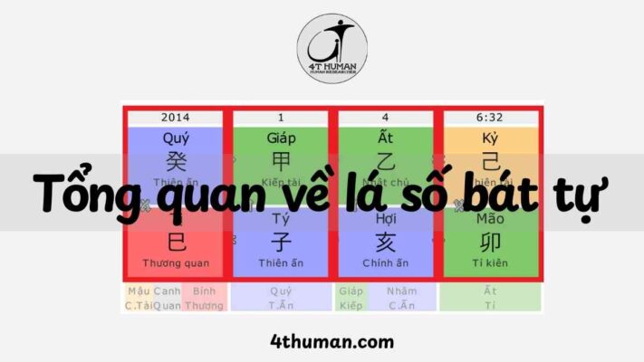 Tổng quan về lá số bát tự tứ trụ 4T Human
