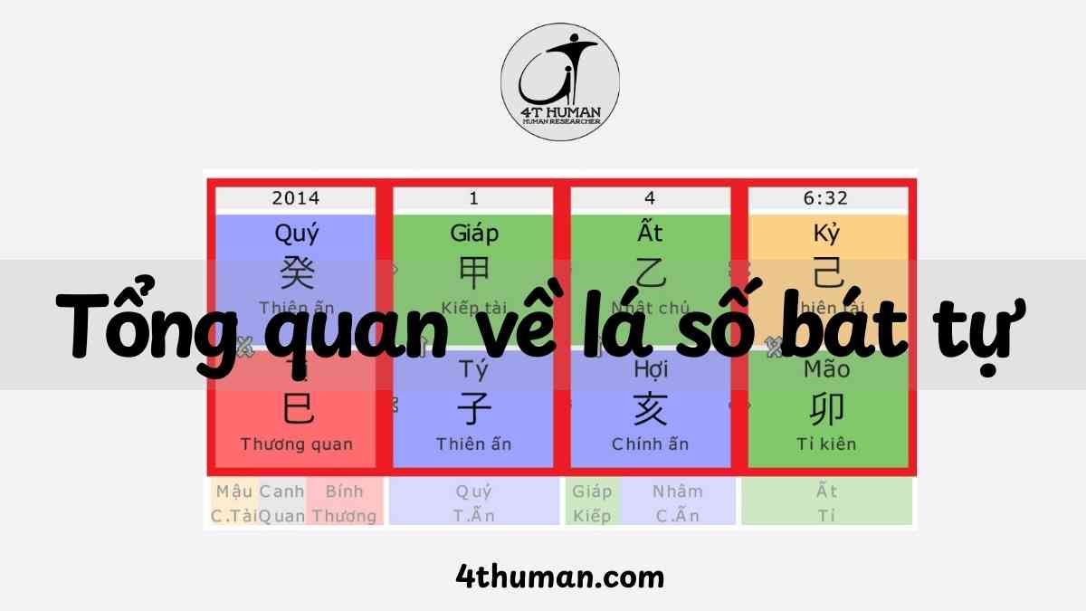 Tổng quan về lá số bát tự tứ trụ 4T Human