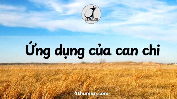 Ứng dụng của can chi