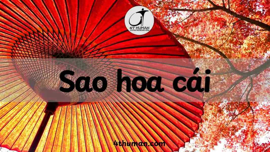 Sao hoa cái 4T Human