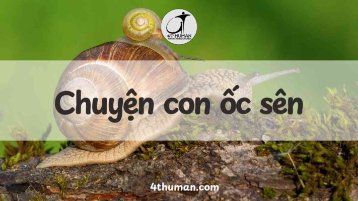Chuyện con ốc sên