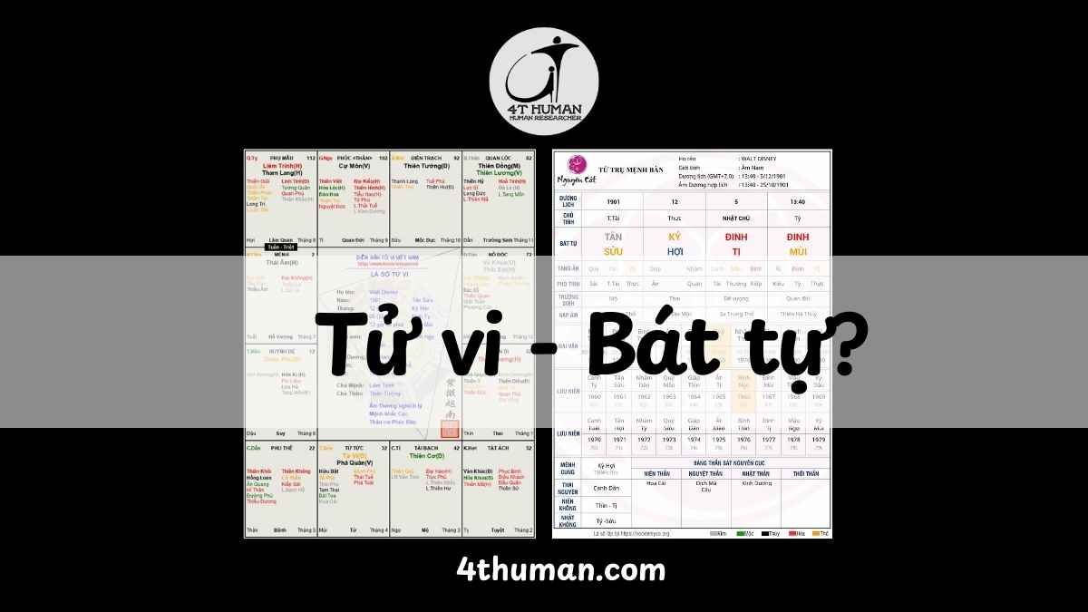 Tử vi hay bát tự