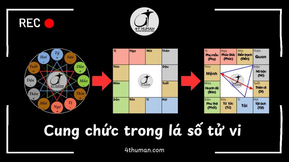 Cung chức trong lá số tử vi 4T Human