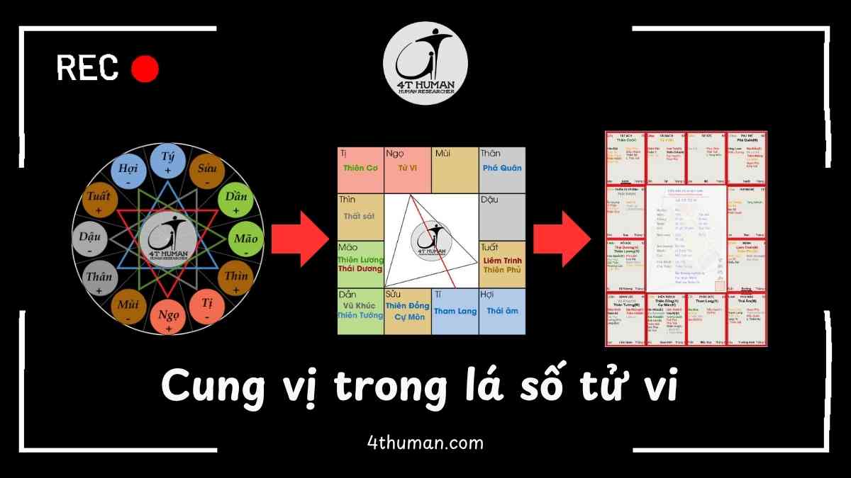 Cung vị trong lá số tử vi