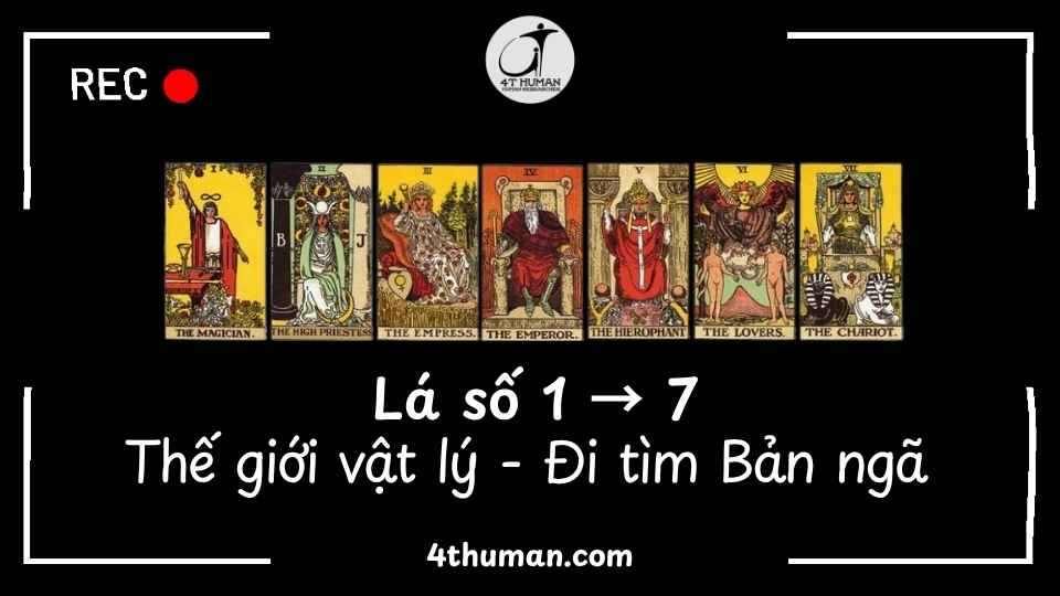 Hàng 1 trong tarot - lá số 1 đến 7