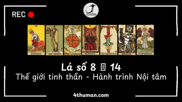 ý nghĩa hàng 2 tarot (lá số 8 - 14)